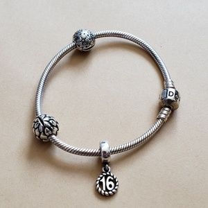 Pandora| 16 Charm